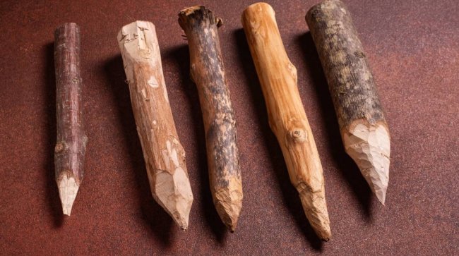 Обойдемся без осиновых кольев: шесть способов защиты от энергетических вампиров - «Мир женщины»